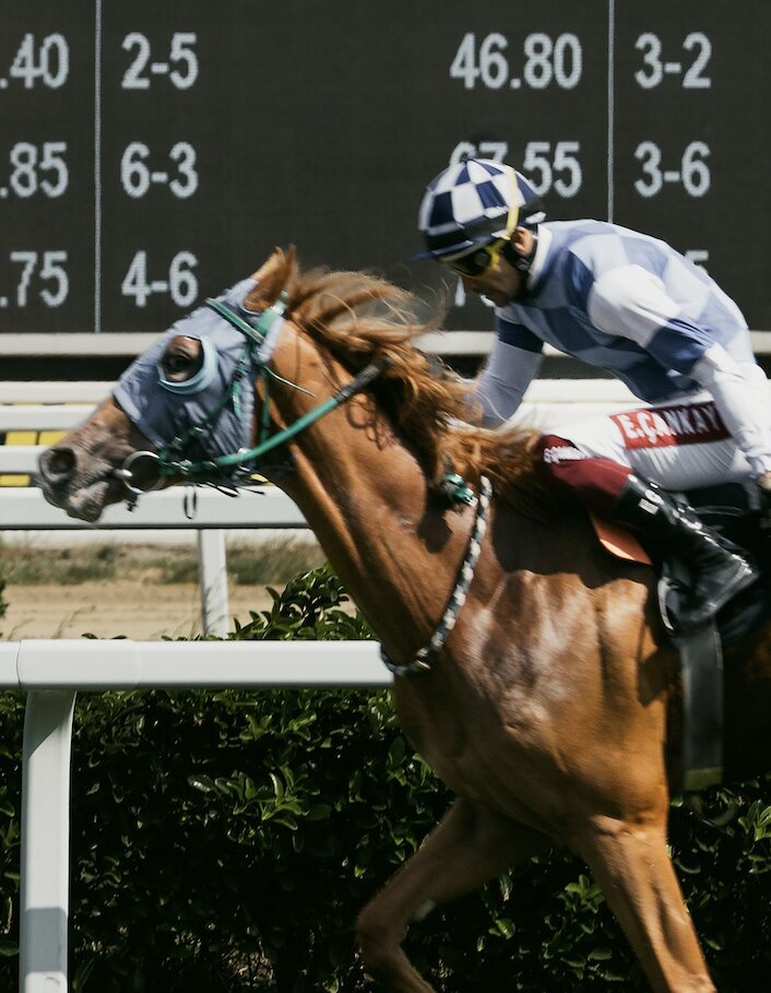 Chestnut racehorse and jockey passing a racetrack scoreboard
